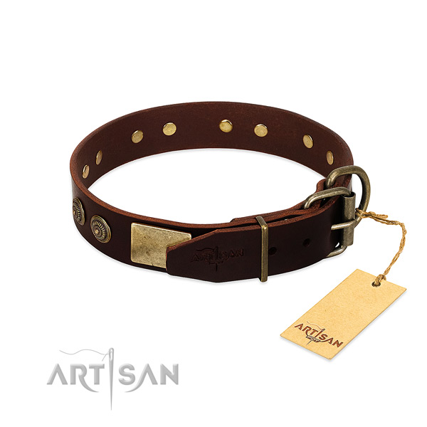 Reliable decorations on full grain genuine leather dog collar for your pet