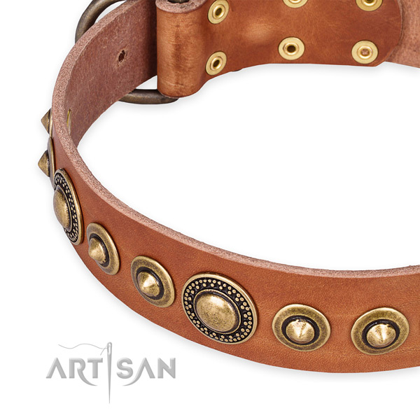 Best quality natural genuine leather dog collar crafted for your handsome doggie