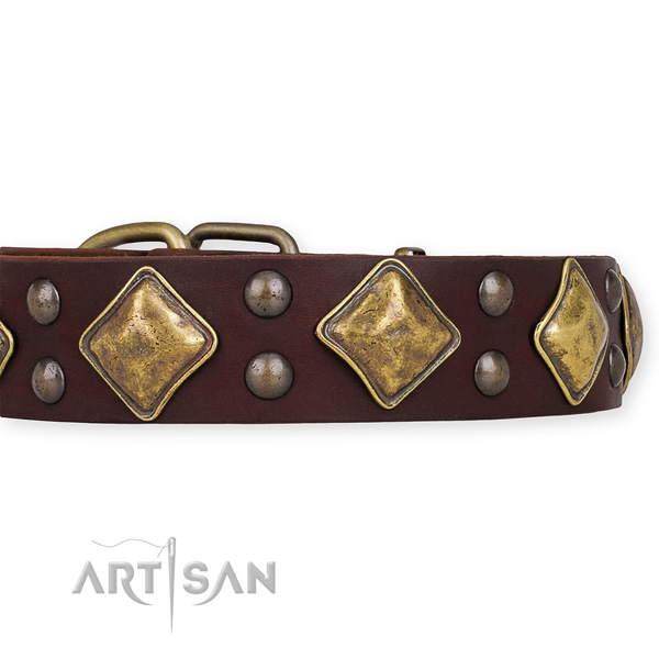 Natural leather dog collar with trendy durable studs