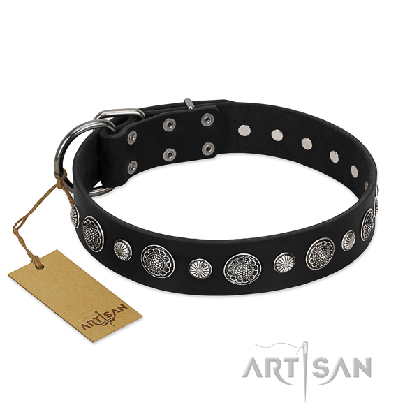 Top notch full grain leather dog collar with remarkable adornments