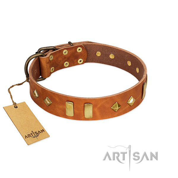 Daily use soft to touch genuine leather dog collar with adornments