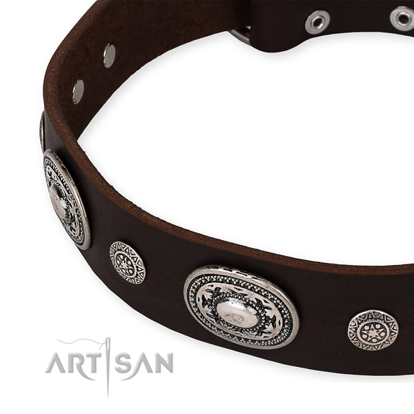 Durable genuine leather dog collar made for your beautiful four-legged friend