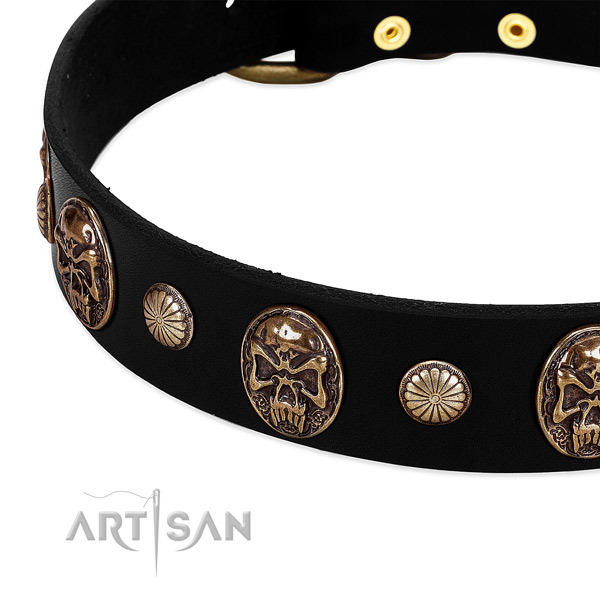 Full grain natural leather dog collar with stunning adornments