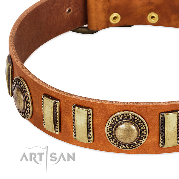 Quality leather dog collar with corrosion resistant fittings