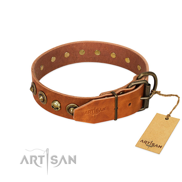 Leather collar with remarkable decorations for your dog