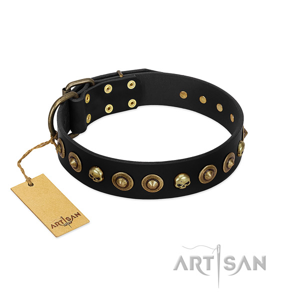 Leather collar with significant embellishments for your four-legged friend