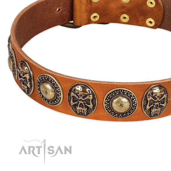 Rust-proof hardware on natural leather dog collar for your dog