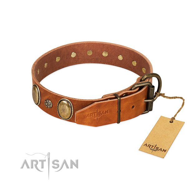 Everyday walking best quality genuine leather dog collar