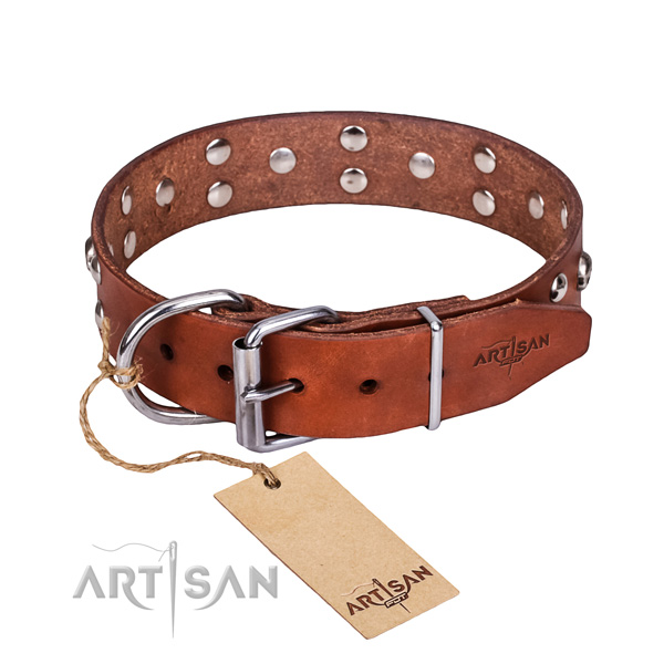 Daily use dog collar of fine quality natural leather with decorations