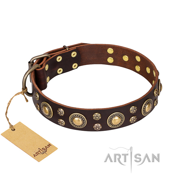 Daily walking dog collar of durable natural leather with studs
