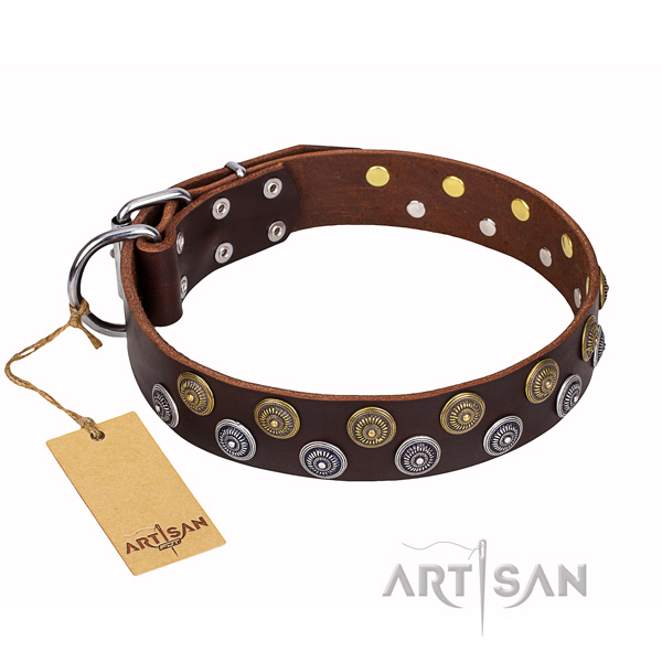 Basic training dog collar of top notch genuine leather with decorations