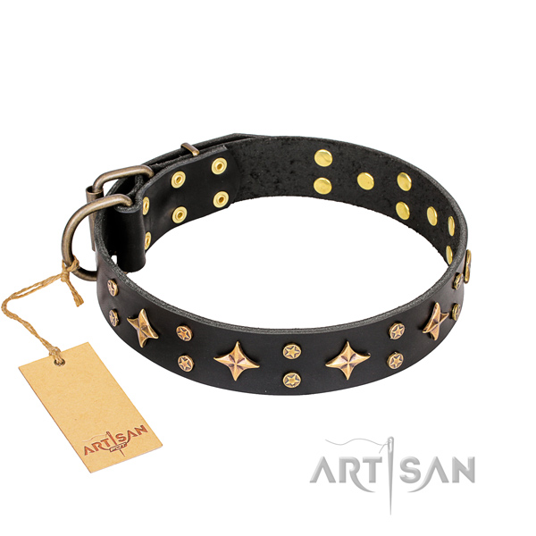 Comfortable wearing dog collar of durable full grain natural leather with studs