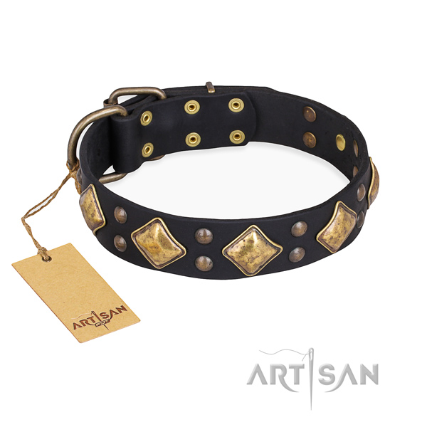 Walking fashionable dog collar with strong hardware
