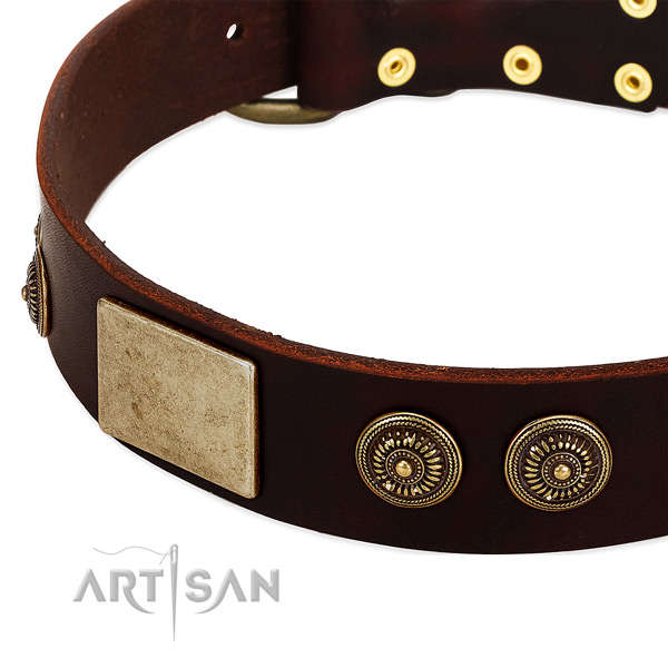 Strong decorations on full grain natural leather dog collar for your dog