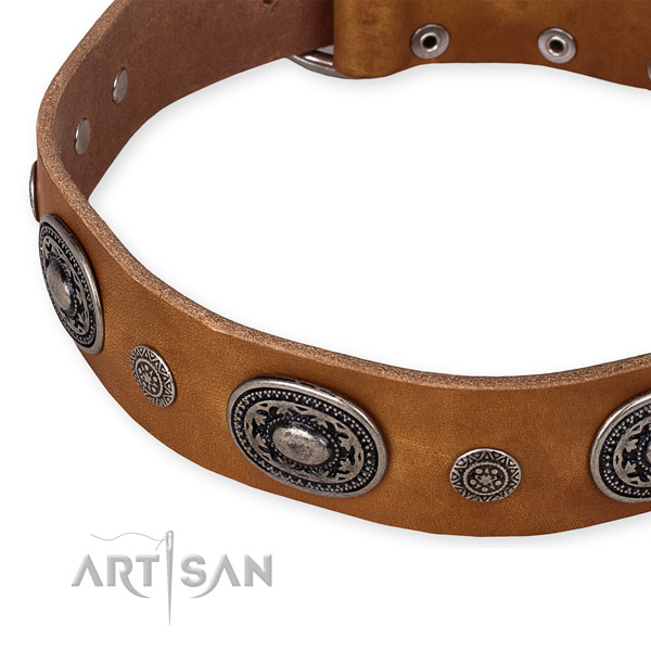 High quality natural genuine leather dog collar crafted for your impressive doggie