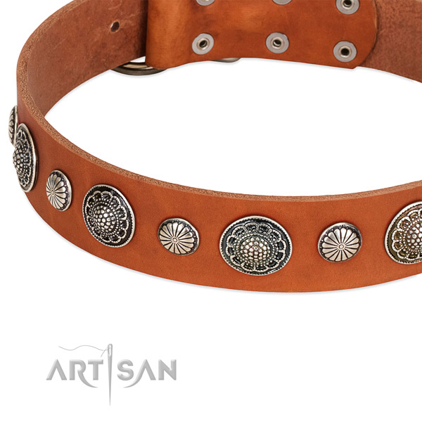 Full grain natural leather collar with rust resistant fittings for your attractive dog
