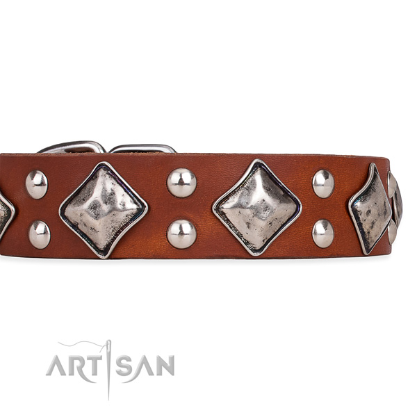 Full grain genuine leather dog collar with extraordinary rust-proof studs