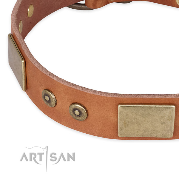 Corrosion resistant D-ring on full grain genuine leather dog collar for your canine
