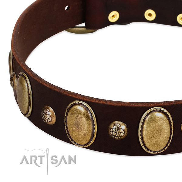 Full grain leather dog collar with exquisite embellishments