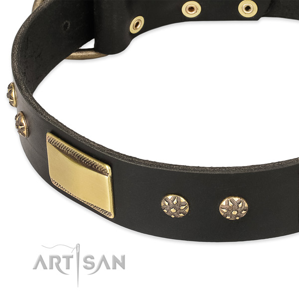 Rust-proof adornments on full grain genuine leather dog collar for your dog