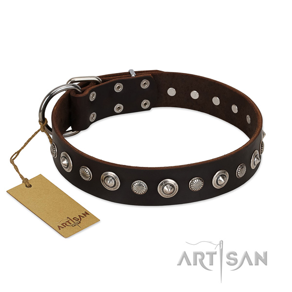 Strong full grain genuine leather dog collar with stunning adornments