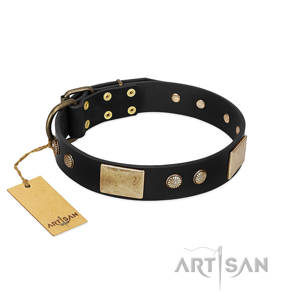 Easy to adjust full grain genuine leather dog collar for basic training your four-legged friend