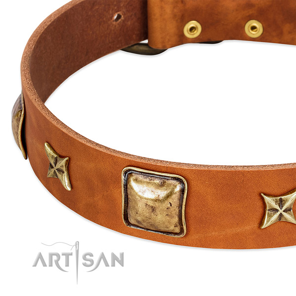 Durable decorations on full grain genuine leather dog collar for your pet