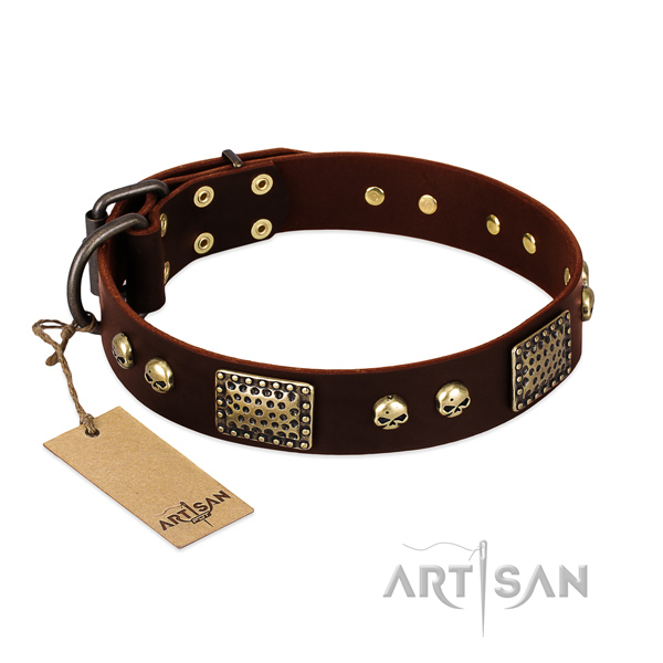 Easy wearing full grain natural leather dog collar for walking your four-legged friend