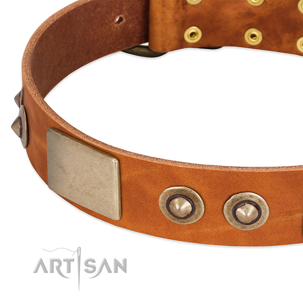 Rust-proof studs on full grain genuine leather dog collar for your four-legged friend