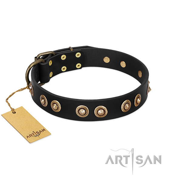 Top notch leather collar for your four-legged friend