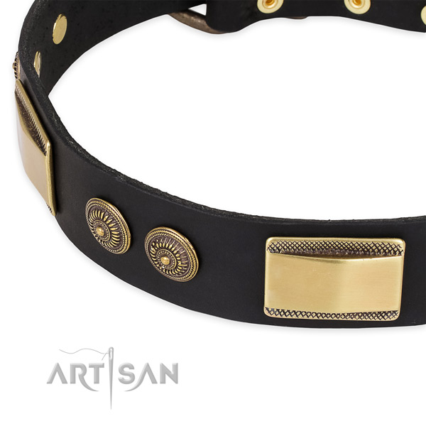 Extraordinary full grain leather collar for your impressive dog