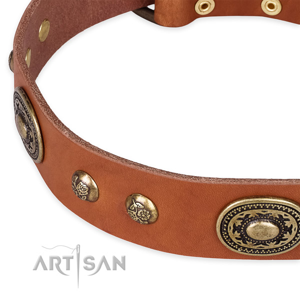 Awesome natural leather collar for your beautiful dog