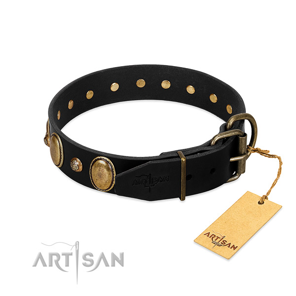 Corrosion proof buckle on full grain natural leather collar for walking your four-legged friend