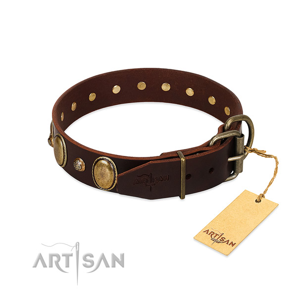 Rust-proof hardware on genuine leather collar for stylish walking your pet