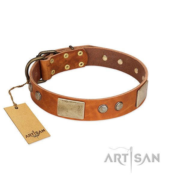 Adjustable leather dog collar for everyday walking your canine