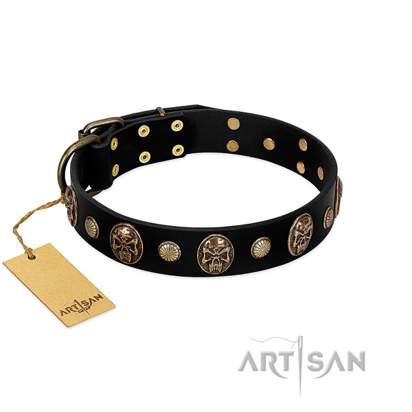 Genuine leather dog collar of best quality material with inimitable decorations