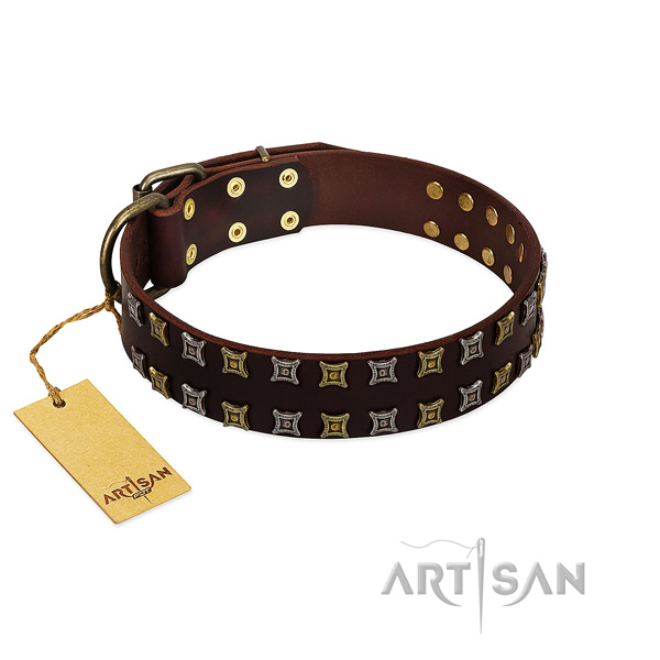 Quality natural leather dog collar with embellishments for your canine