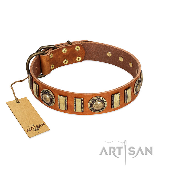 Awesome full grain genuine leather dog collar with rust-proof fittings