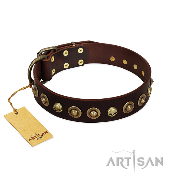 Full grain natural leather collar with exquisite adornments for your dog