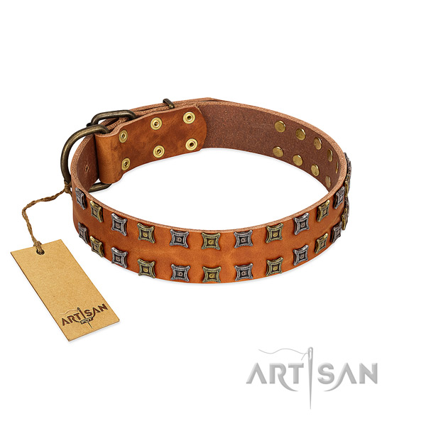 Durable natural leather dog collar with adornments for your pet