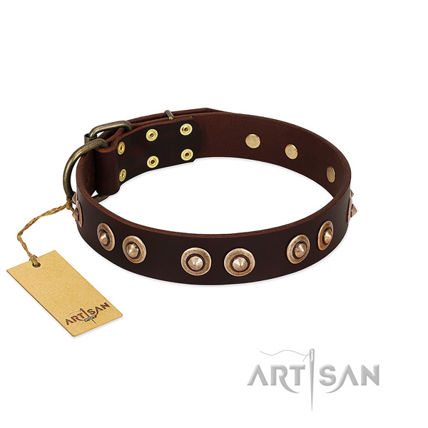 Reliable buckle on full grain natural leather dog collar for your four-legged friend