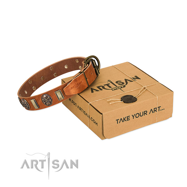 Rust resistant buckle on full grain leather dog collar for comfortable wearing