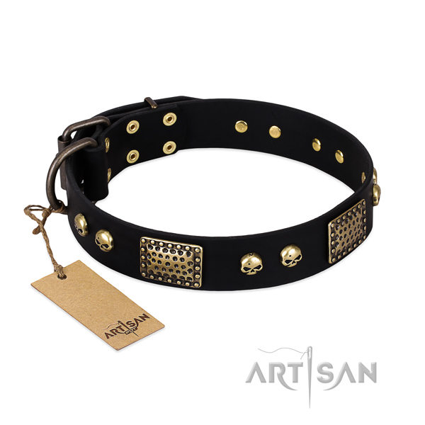 Easy adjustable genuine leather dog collar for basic training your four-legged friend