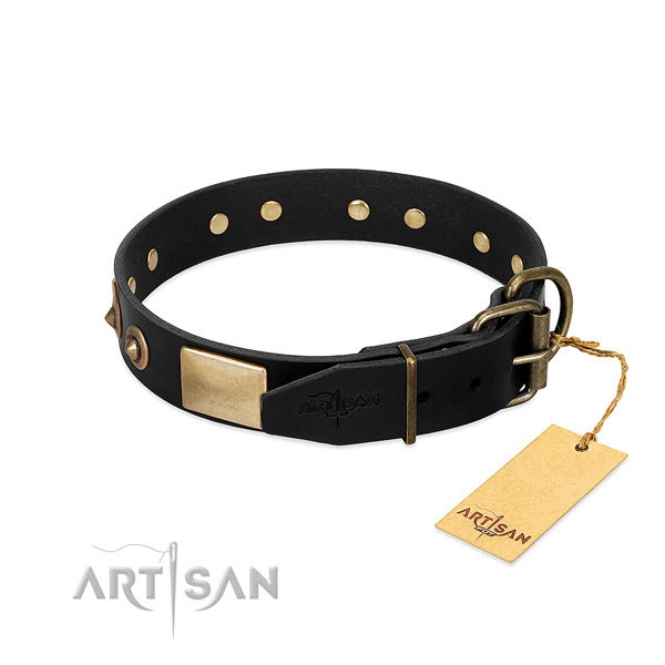 Rust-proof D-ring on stylish walking dog collar