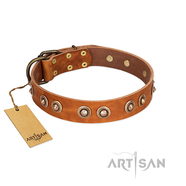 Corrosion resistant hardware on genuine leather dog collar for your pet