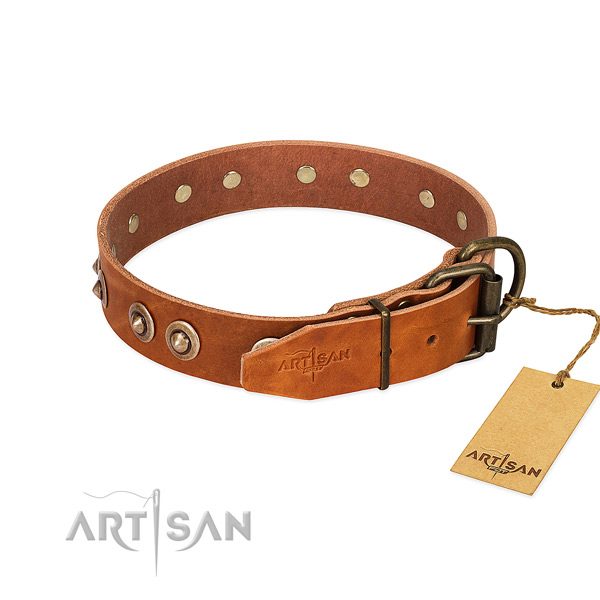 Corrosion proof D-ring on leather dog collar for your four-legged friend