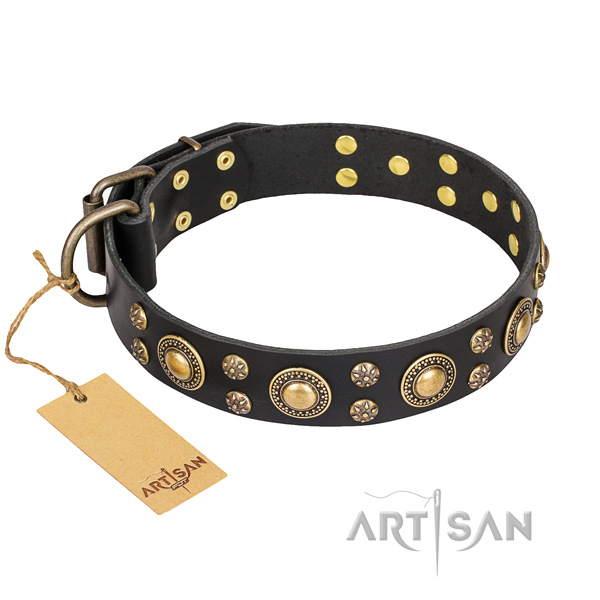 Basic training dog collar of durable full grain leather with decorations