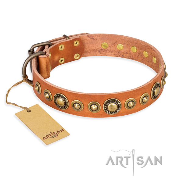 Best quality leather collar created for your four-legged friend
