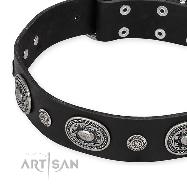 Soft genuine leather dog collar crafted for your attractive four-legged friend