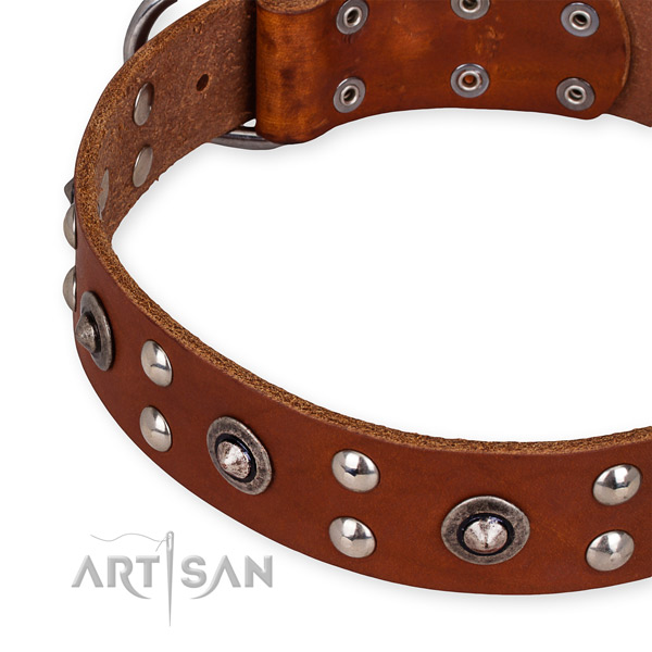 Full grain genuine leather collar with corrosion proof traditional buckle for your attractive doggie